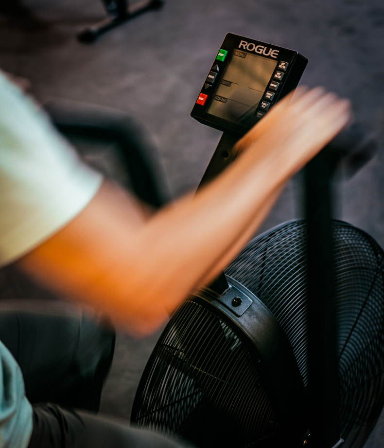 Home Bouldering Project