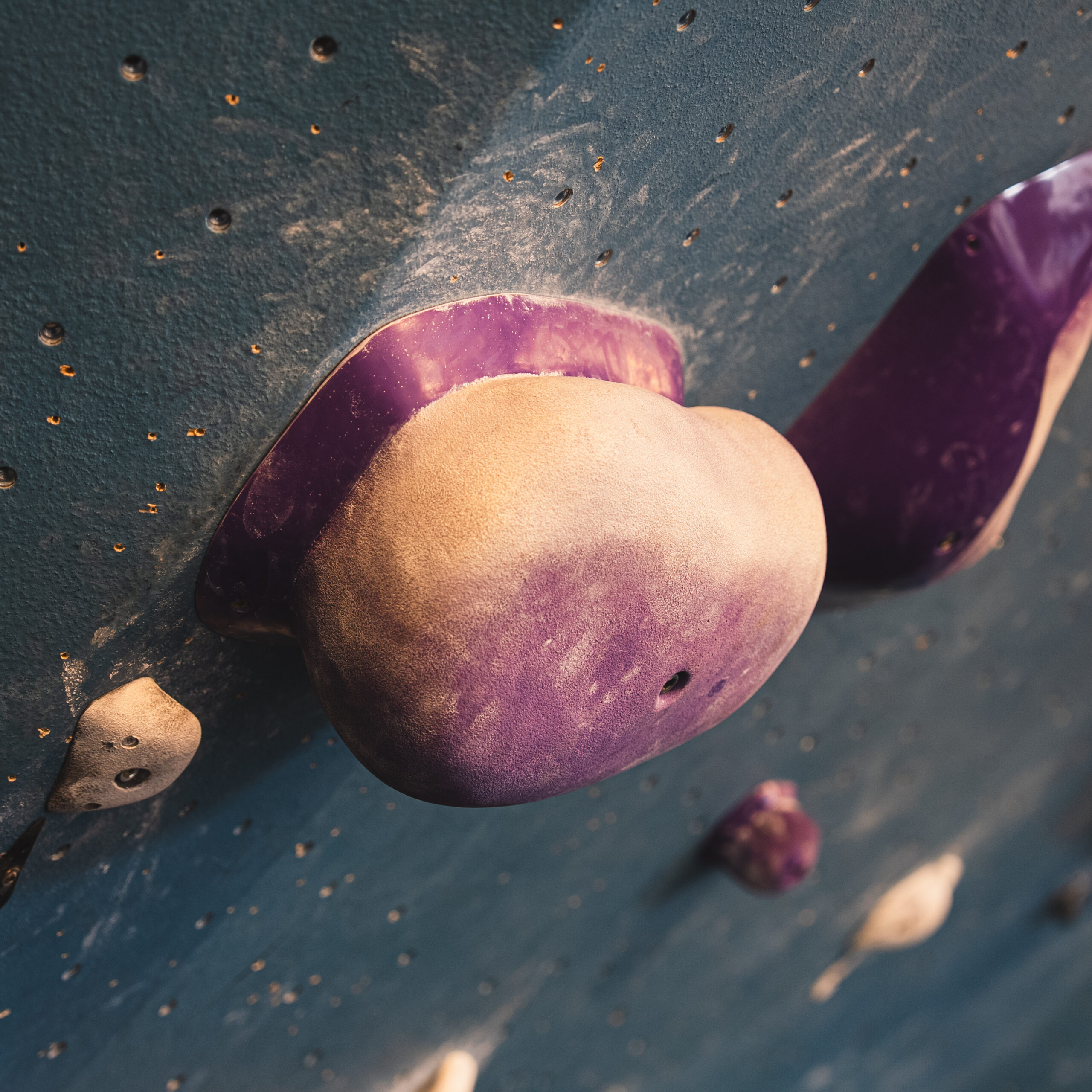 Close-up of a climbing wall with large, textured rock climbing holds in purple and beige. The dark blue wall features small holes and visible chalk marks around the holds.