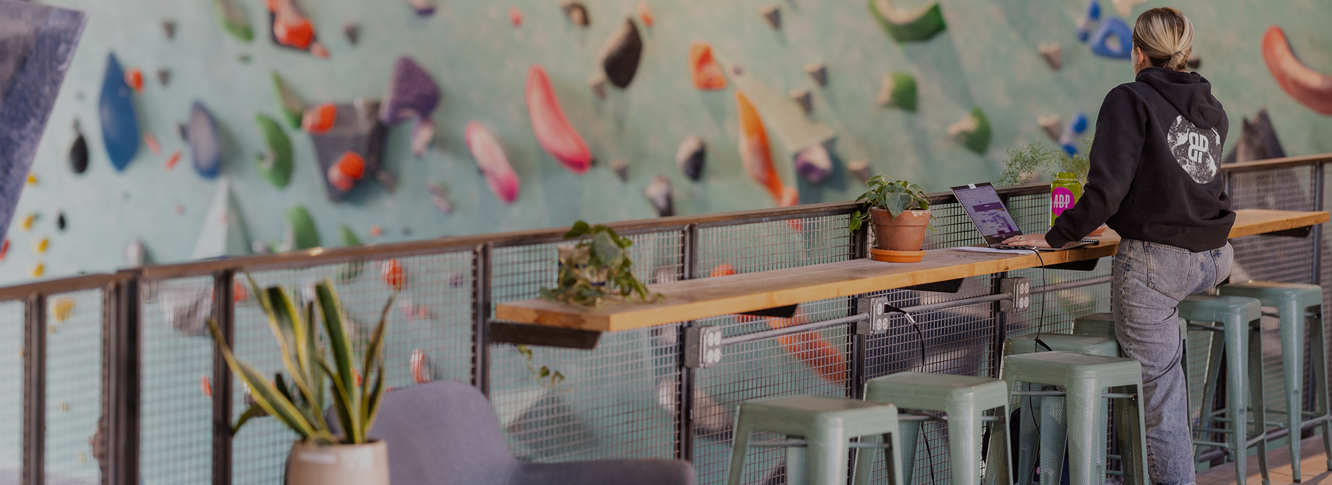 A person stands at a high counter with a laptop and plants, overlooking an indoor rock climbing wall with colorful holds. The relaxed, modern atmosphere hints at the Membership Benefits at Seattle Bouldering Project, including vibrant community spaces.