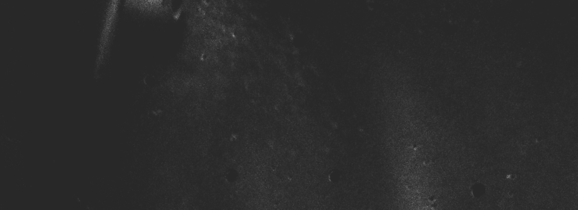 Dark, grainy surface with faint speckles and subtle light gradients; small scattered dots are visible, creating a textured, shadowy appearance reminiscent of a Boulderfest 2026 night skyline.