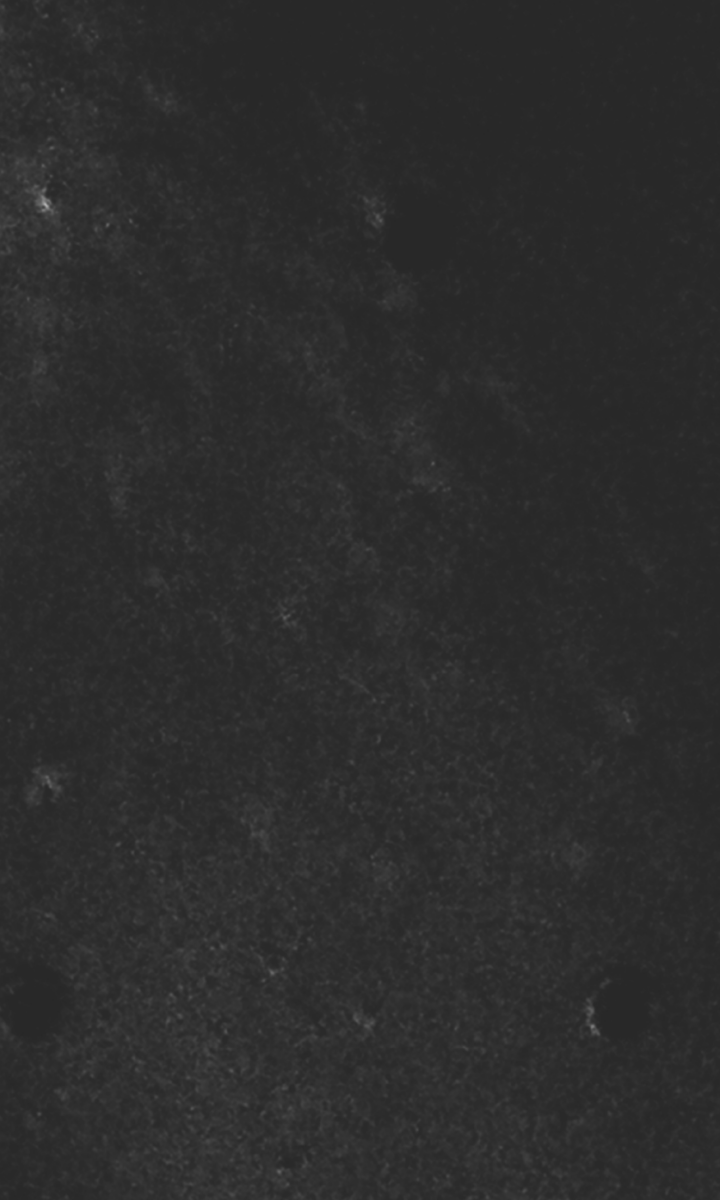 Dark, grainy surface with faint speckles and subtle light gradients; small scattered dots are visible, creating a textured, shadowy appearance reminiscent of a Boulderfest 2026 night skyline.