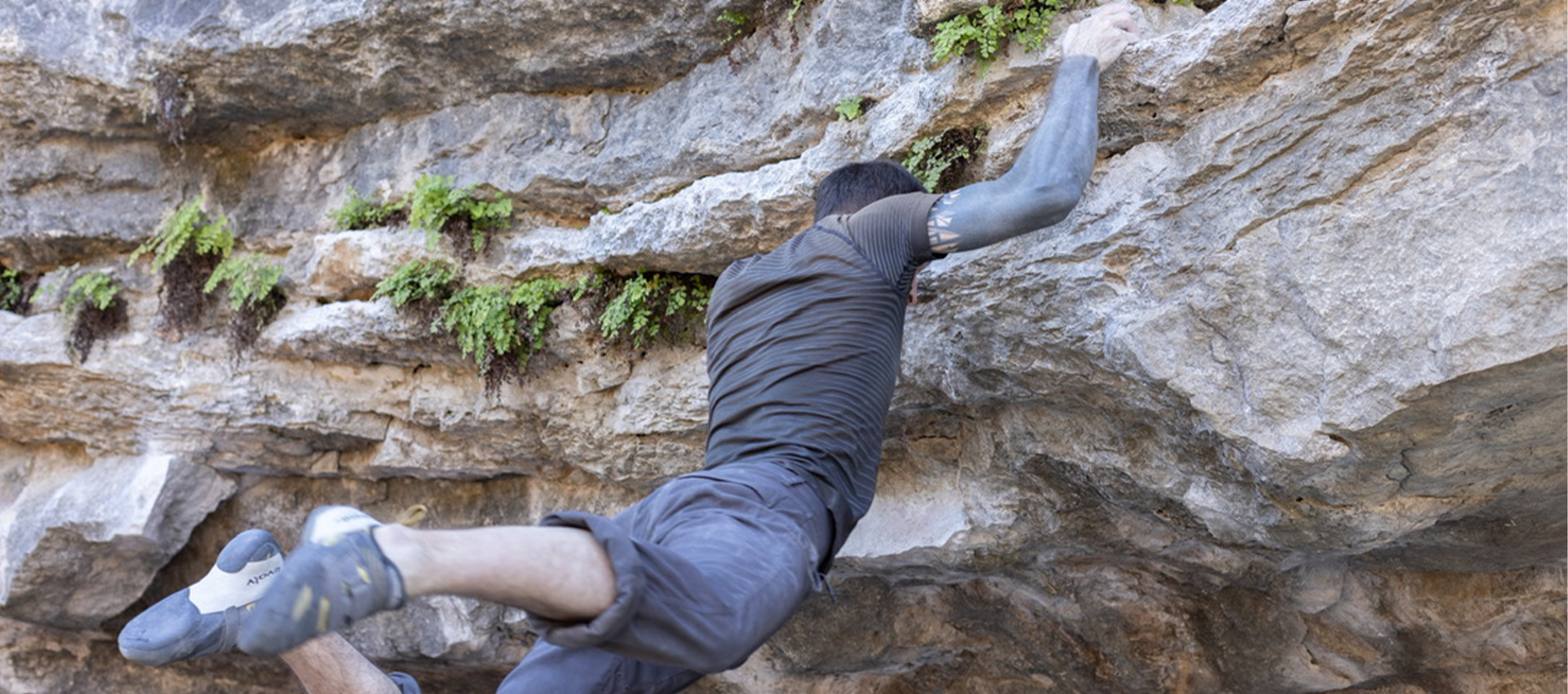 A man in climbing shoes and athletic clothing climbs a rocky, overhanging cliff face outdoors, gripping small holds with his hands, with patches of green plants growing in the rock crevices—a scene that captures the thrill of rock climbing Austin is known for and highlights why it’s considered one of the best places for outdoor adventure.