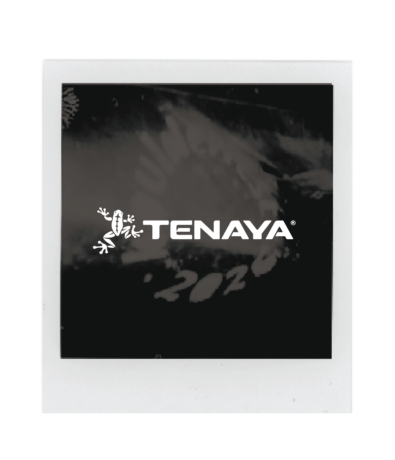 A Polaroid-style photo features the white Tenaya logo with a gecko graphic on a dark, blurry background, capturing the spirit of the boulderfest community. The year 2020 is faintly visible below the logo, evoking memories of past climbing competitions and ambitious bouldering projects.